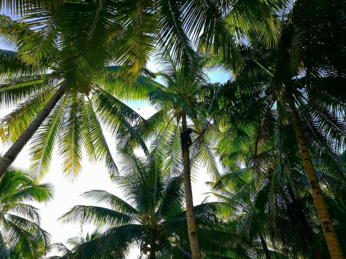 Apartmán Siargao Residency Union  Exteriér fotografie